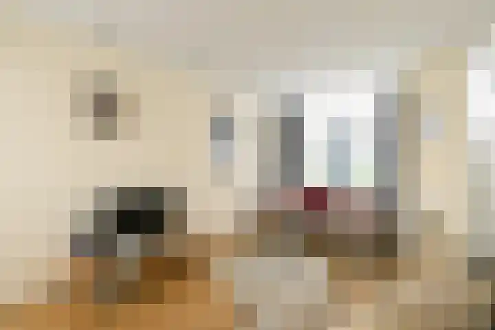 Looierspoort 3 Gouda thumbnail 6