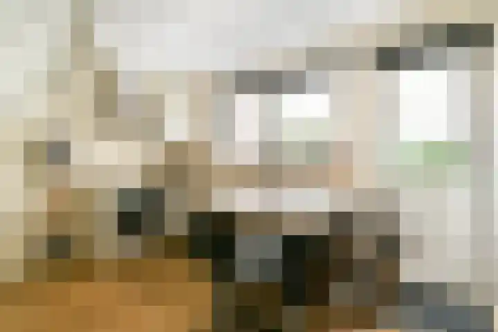 Looierspoort 3 Gouda thumbnail 9