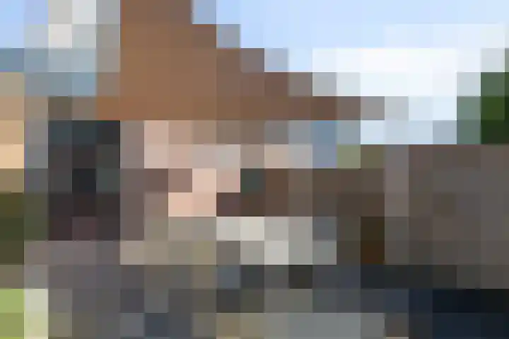 Looierstraat 11 Velp thumbnail 28