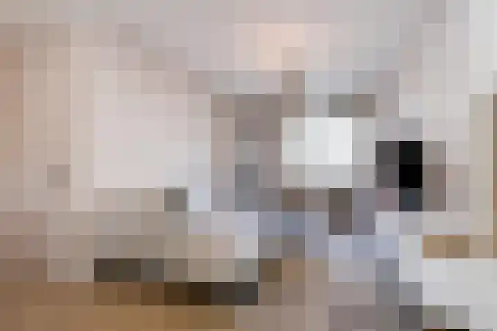 Looierstraat 11 Velp thumbnail 6