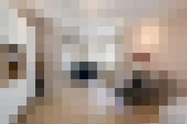Looierstraat 11 Velp thumbnail 9