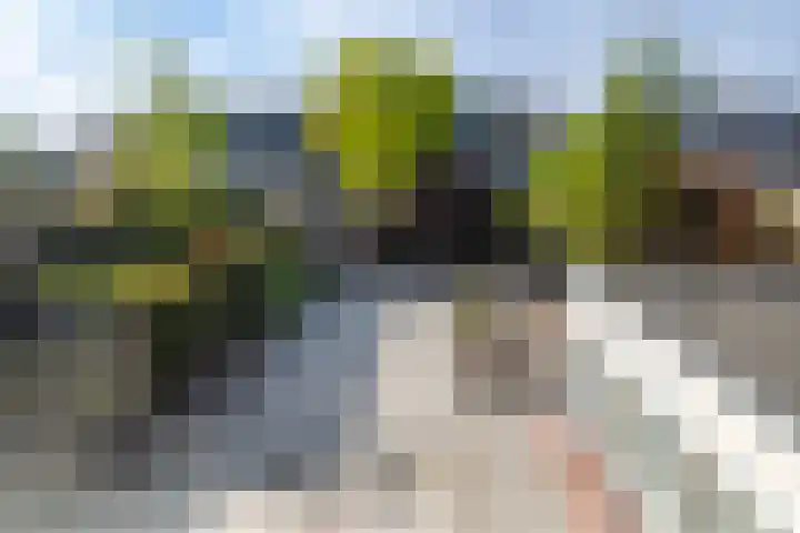 Looierstraat 12 2 Arnhem thumbnail 24