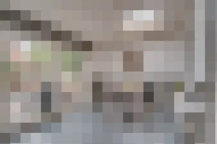 Looierstraat 20 Baarlo thumbnail 17