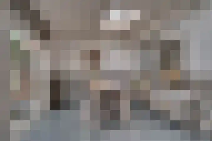 Looierstraat 20 Baarlo thumbnail 18