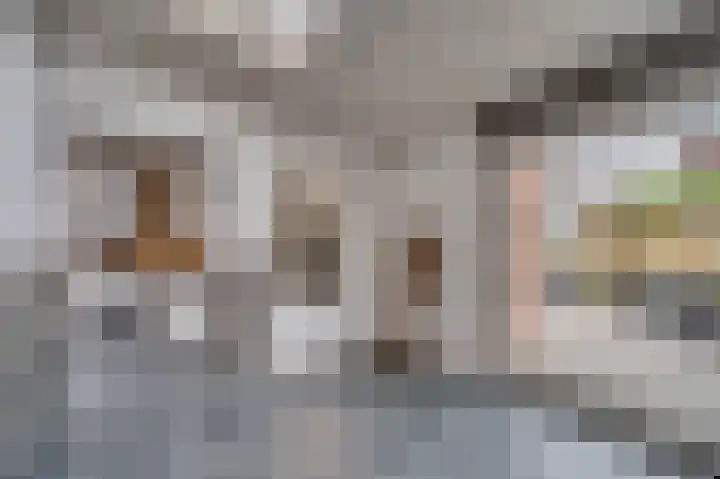 Looierstraat 20 Baarlo thumbnail 20
