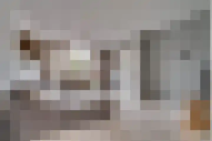 Looierstraat 20 Baarlo thumbnail 5