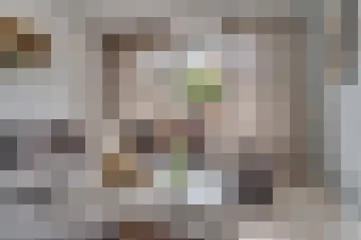 Looierstraat 20 Baarlo thumbnail 7