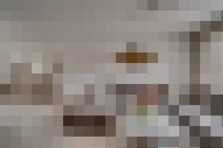 Looierstraat 20 Baarlo thumbnail 8
