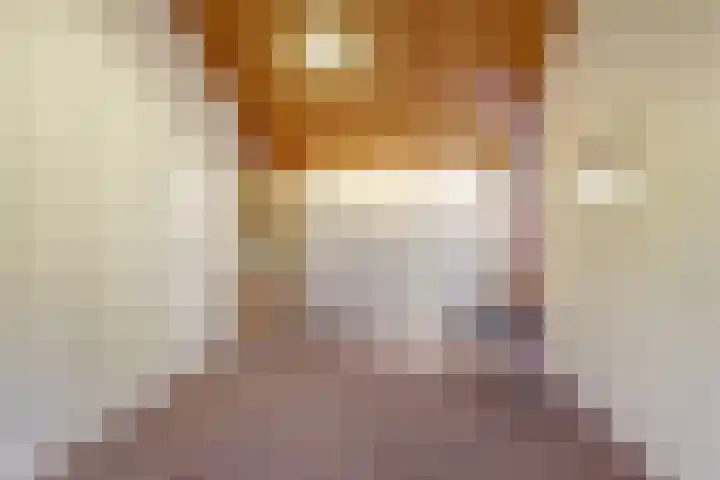 Looierstraat 25 Duiven thumbnail 19