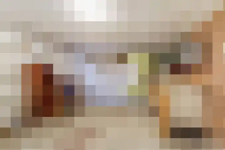 Looierstraat 25 Duiven thumbnail 29