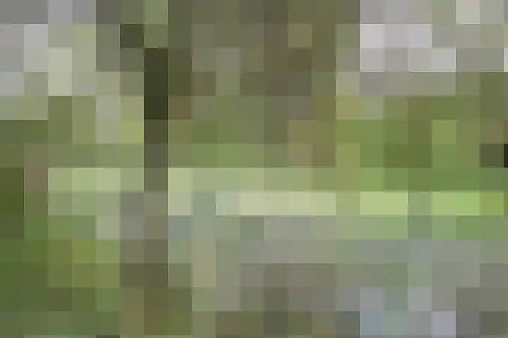 Looierstraat 25 Duiven thumbnail 31