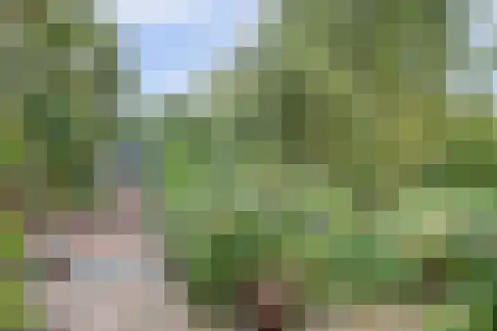 Looierstraat 25 Duiven thumbnail 33