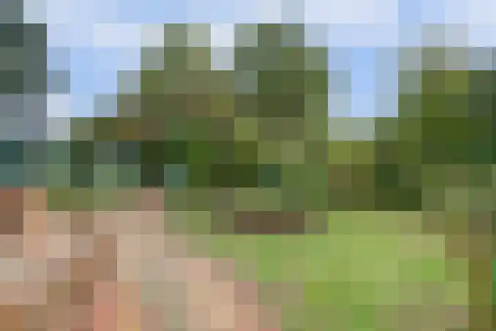 Looierstraat 25 Duiven thumbnail 37