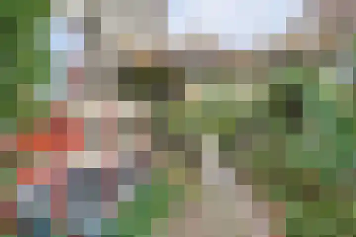 Looierstraat 25 Duiven thumbnail 40