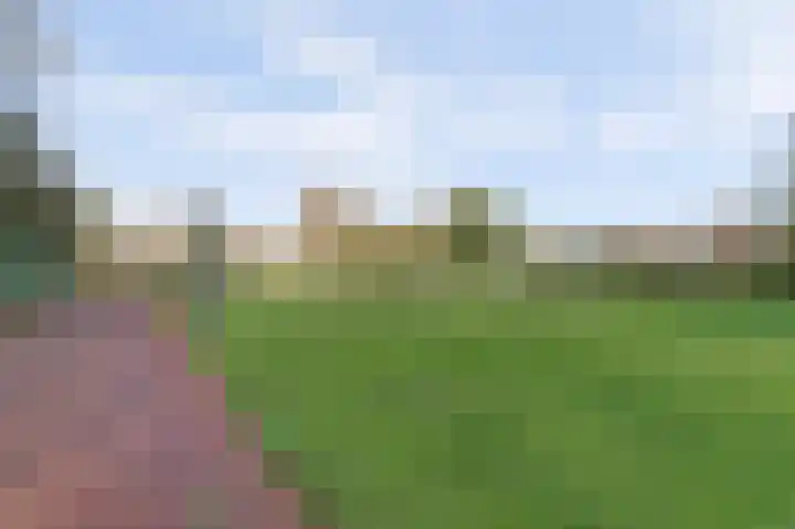 Looierstraat 25 Duiven thumbnail 44