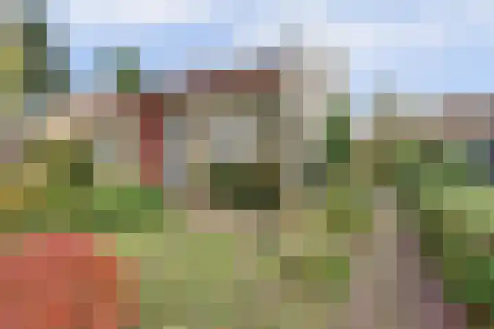 Looierstraat 25 Duiven thumbnail 48