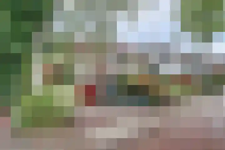Looierstraat 25 Duiven thumbnail 49