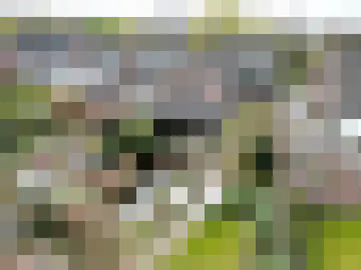 Looierstraat 36 Best foto 2