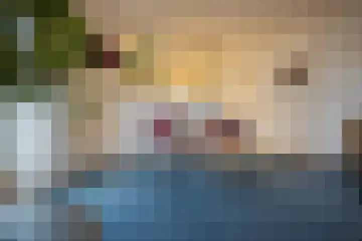 Looierstraat 48 b Velp thumbnail 19