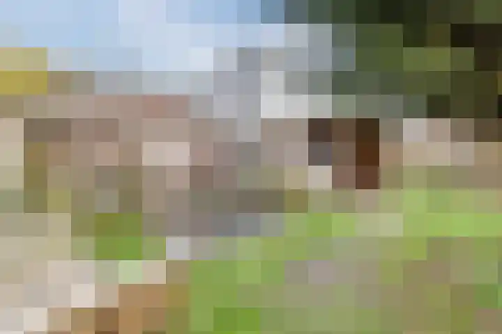Looierstraat 7 Velp thumbnail 4