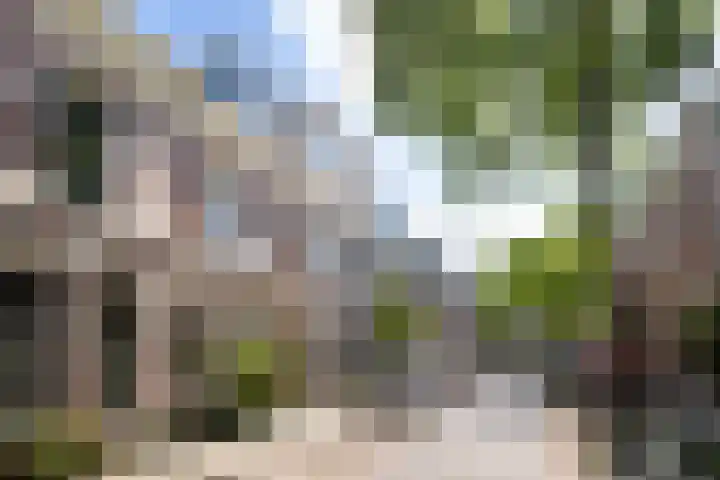 Looierstraat 8 Utrecht thumbnail 29