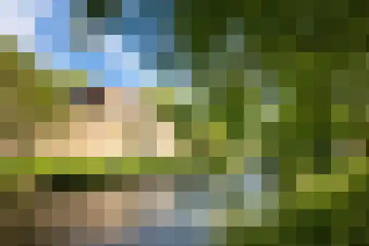 Looierstraat 8 Utrecht thumbnail 31