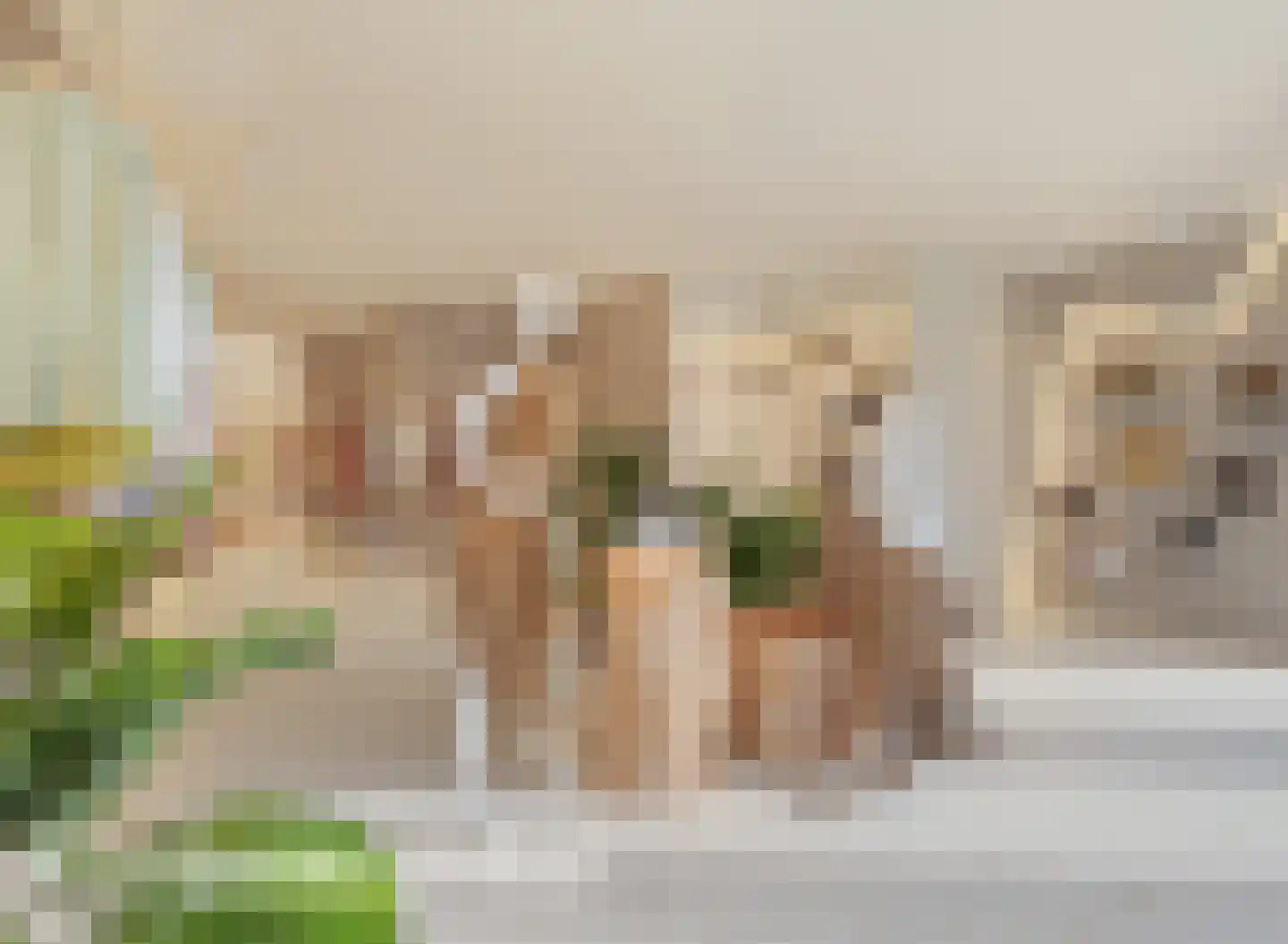 Looierstraat 93 Gulpen thumbnail 7