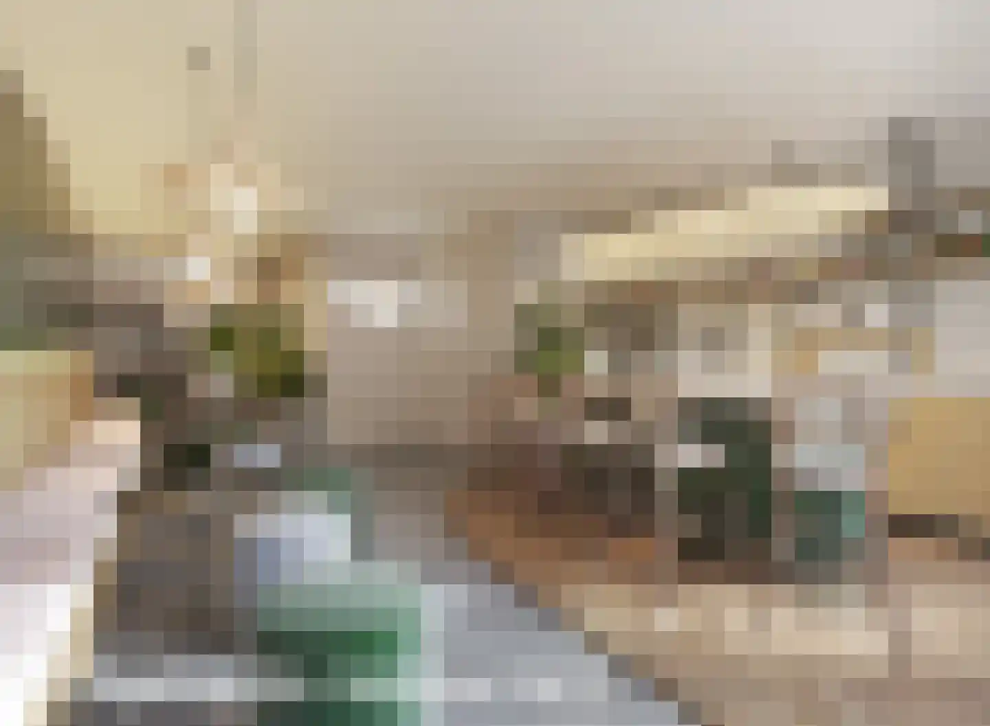 Looierstraat 93 Gulpen thumbnail 8
