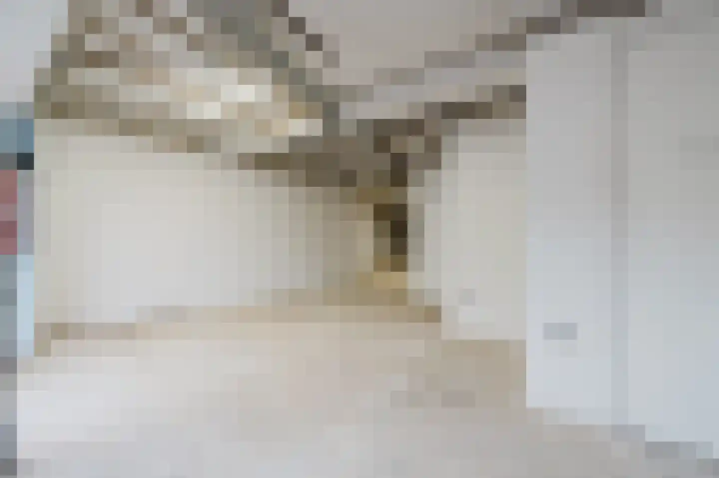 Looierstraat 93 Gulpen thumbnail 9