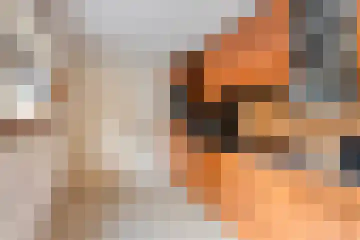 Looiersveld 12 Rijen thumbnail 15