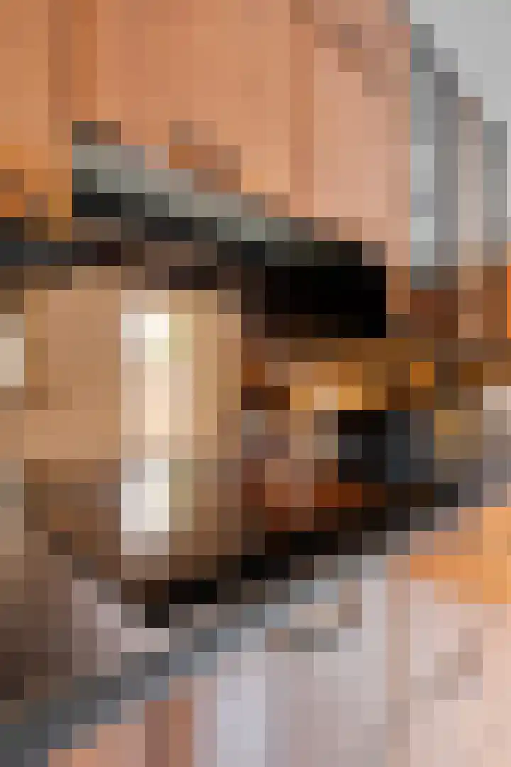 Looiersveld 12 Rijen thumbnail 18