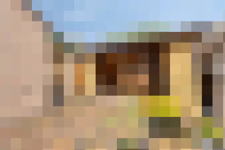 Looiersveld 12 Rijen thumbnail 40