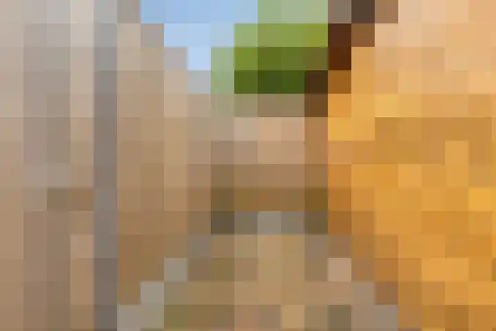 Looiersveld 12 Rijen thumbnail 43