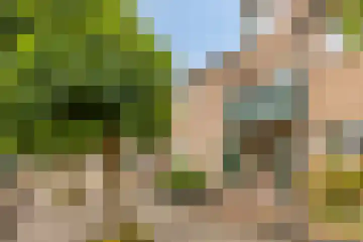 Looiersveld 12 Rijen thumbnail 51