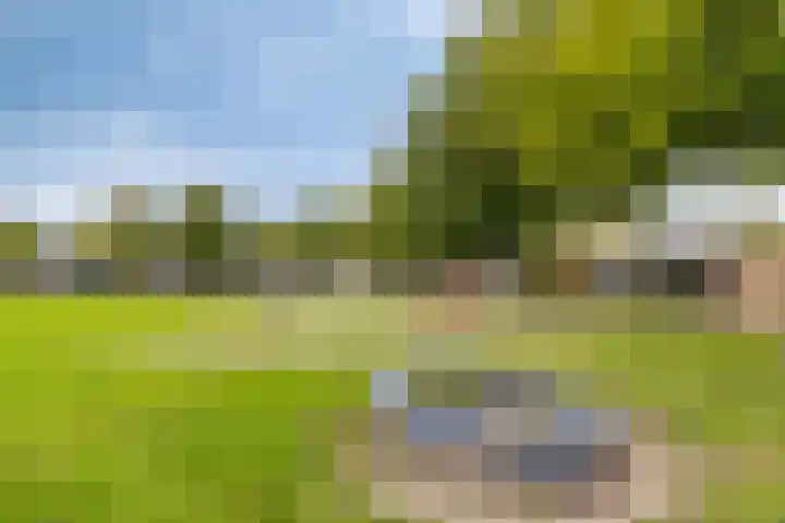 Looiersveld 12 Rijen thumbnail 52