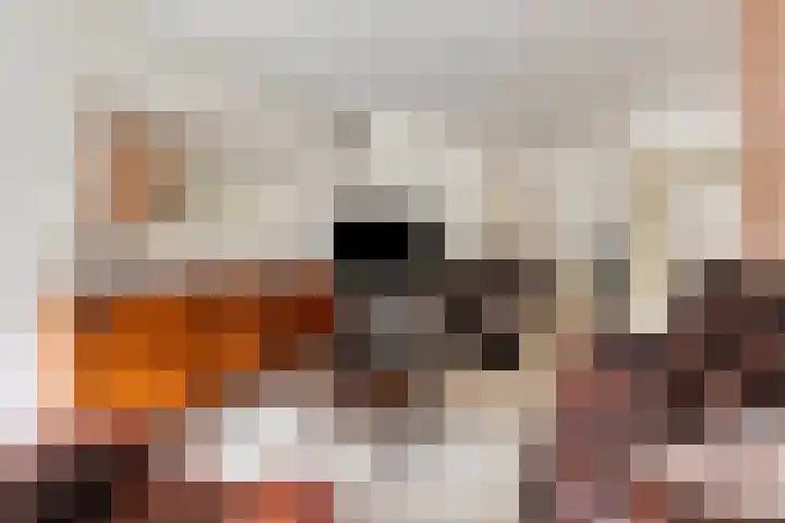 Looiersveld 12 Rijen thumbnail 9