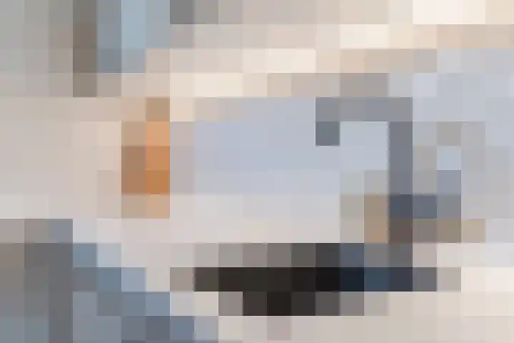Looiersveld 22 Rijen thumbnail 17