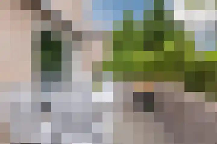 Looiersveld 54 Rijen thumbnail 15