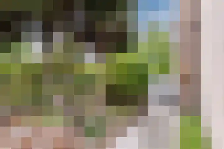 Looiersveld 54 Rijen thumbnail 17