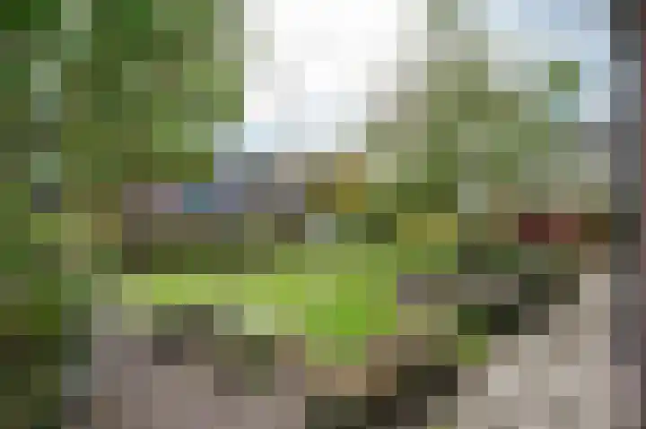 Looiersveld 54 Rijen thumbnail 18