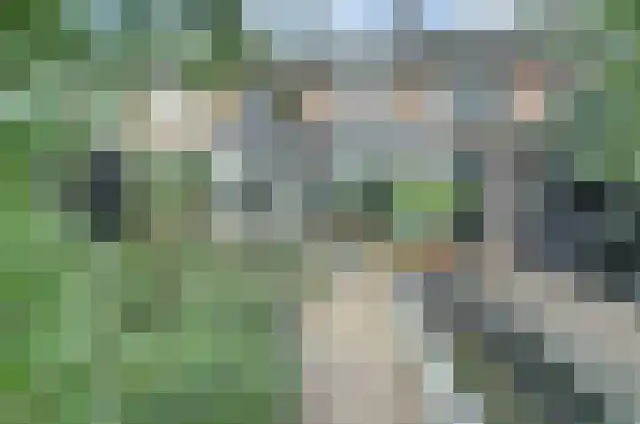 Looierwei 29 Valkenswaard thumbnail 38