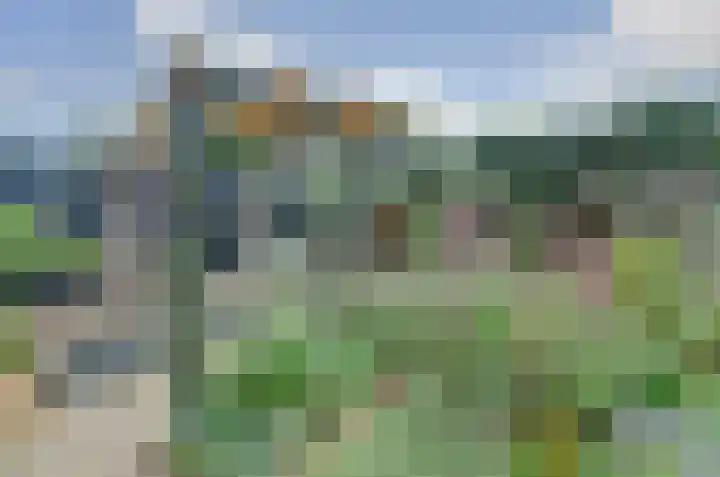 Looierwei 29 Valkenswaard thumbnail 39