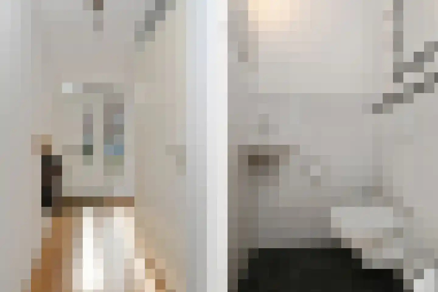 Looisehoeve 8 Helmond thumbnail 6