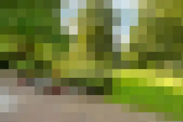 Looiseweg 58 Ottersum thumbnail 33