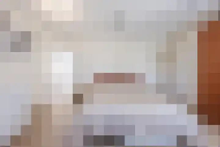 Looistraat 43 A Heumen thumbnail 16