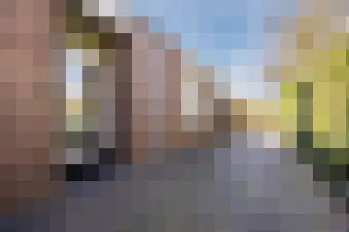 Looistraat 43 A Heumen thumbnail 30