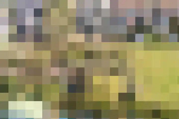 Looistraat 43 A Heumen thumbnail 39