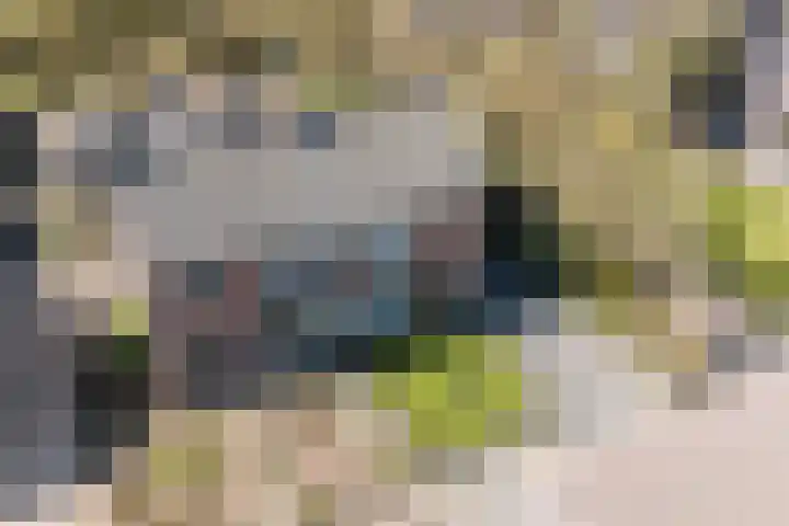 Looistraat 43 A Heumen thumbnail 4