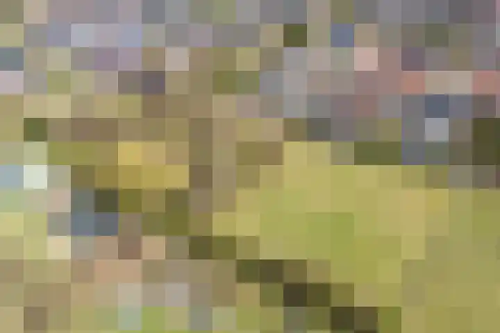 Looistraat 43 A Heumen thumbnail 40