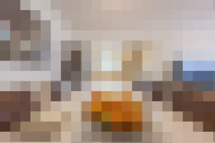 Looistraat 43 A Heumen thumbnail 8